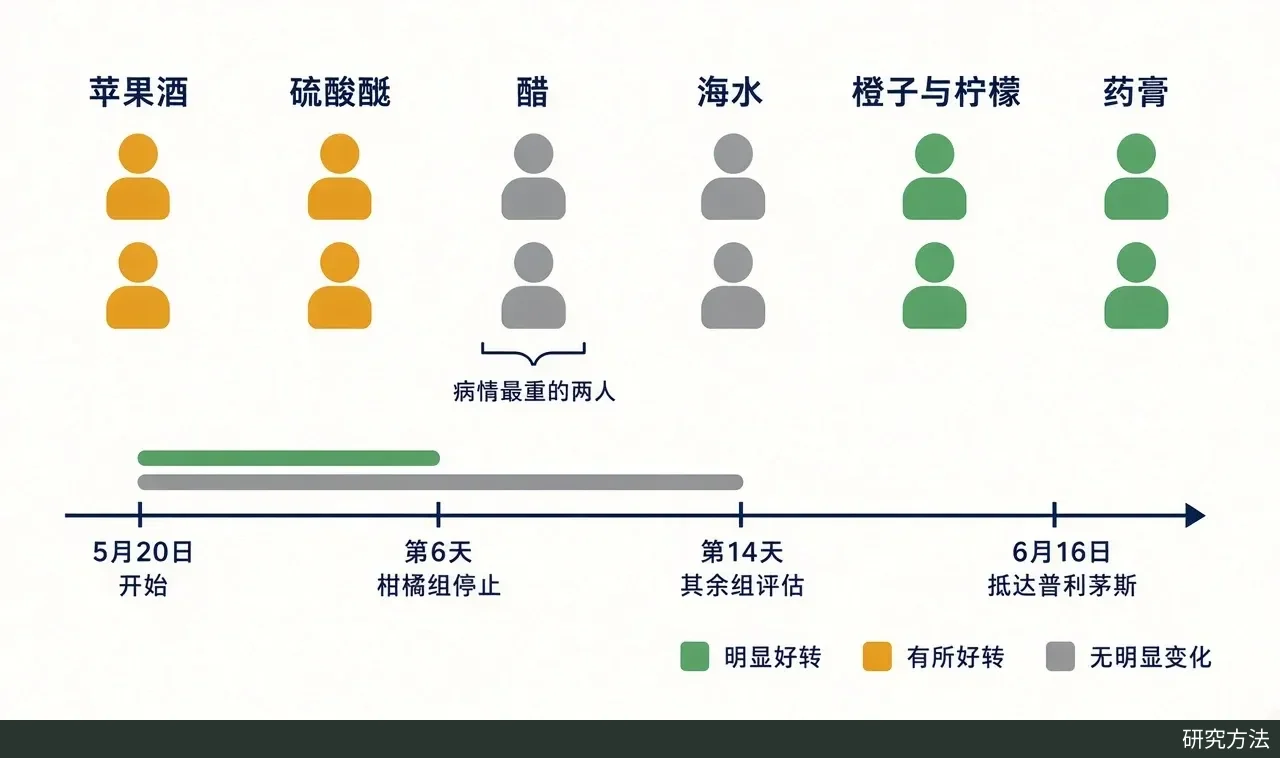 正文结构示意图(代码绘制):12 个人形图标排成 6 列、每列 2 人。