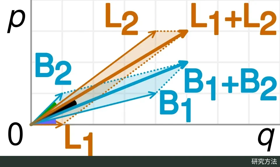 红蓝两组向量分别相加，分组斜率的大小关系在总向量之间反转，示意不同权重的作用