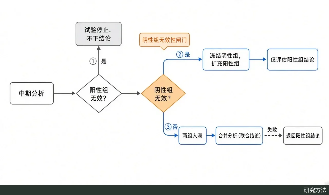 流程图:中期分析按阳性组与阴性组的无效性结果,分为停止、富集阳性组、两组继续三条路线